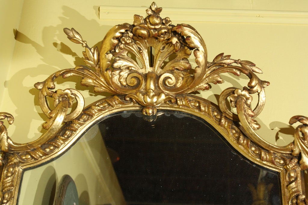 Sculpté Miroirs Girondole style rococo en vente