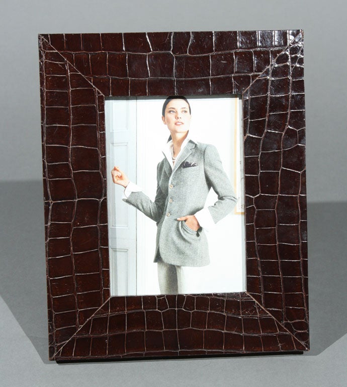 Brown Alligator Frame