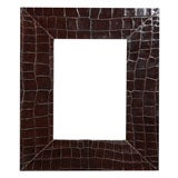Brown Alligator Frame