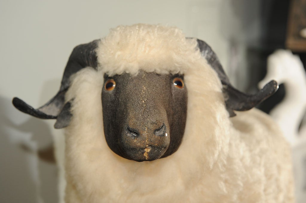 lalanne sheep price