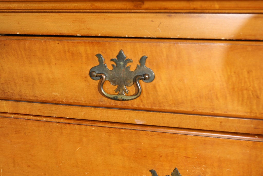 Birdseye Maple Tiger and birds eye maple tall chest with eight drawers For Sale