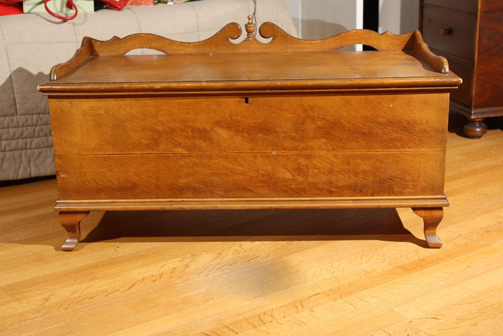 Birds eye maple Cedar Chest