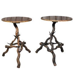 Pair of 19th Century English Horn Side Tables
