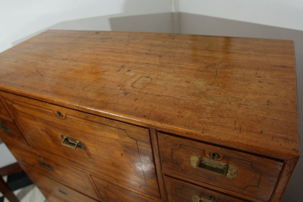 British English, Solid Camphor Wood Campaign Chest of Drawers