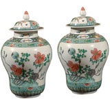 Pr. Chinese Famille Verte Vases