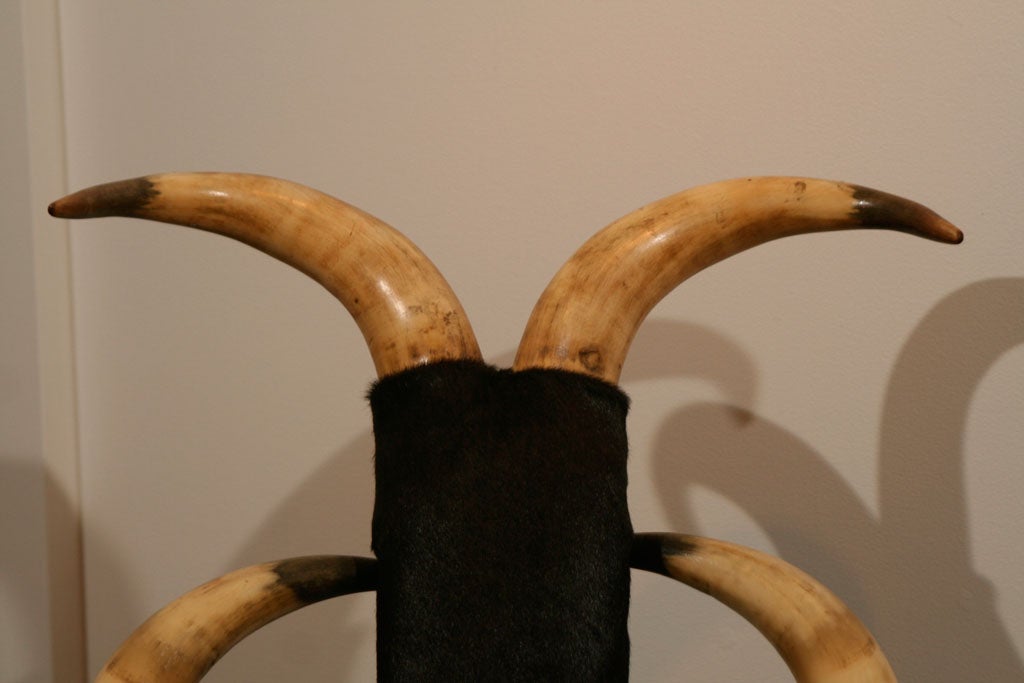 Horned Arm Chair 1