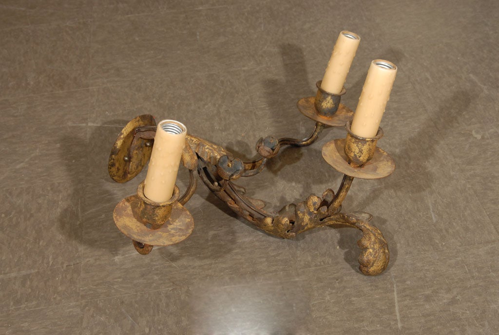 GIlded Iron Sconce