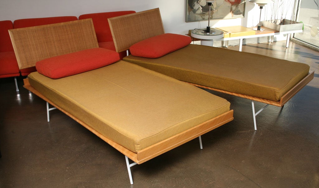 nelson thin edge bed used