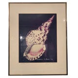 Used William Conklin X-Ray Print