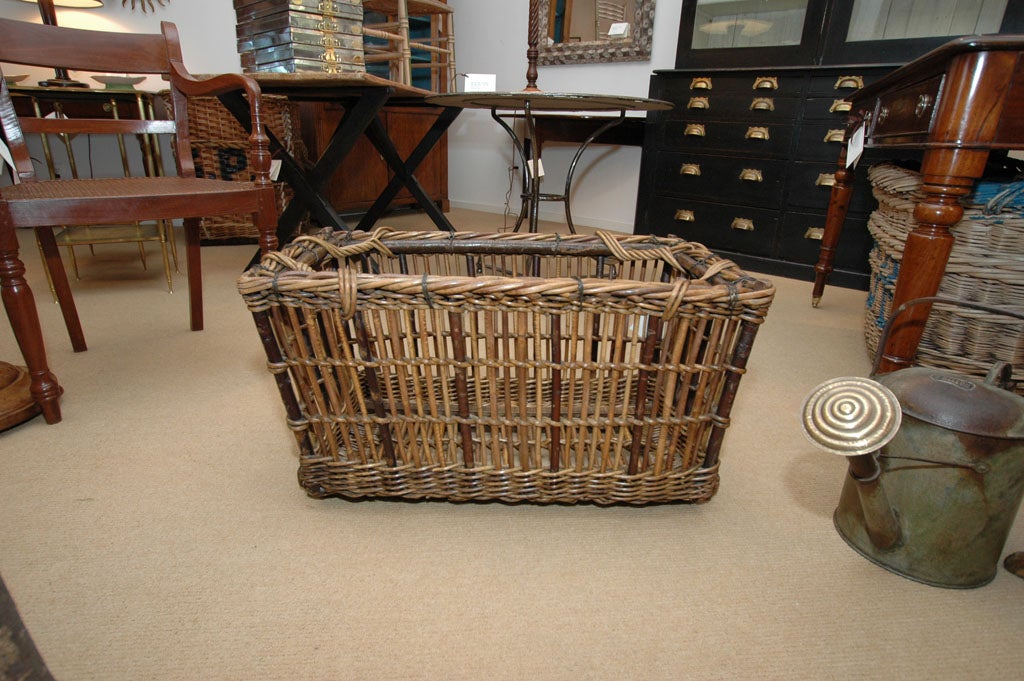 Circa 1900 French Wicker Laundry Basket 3