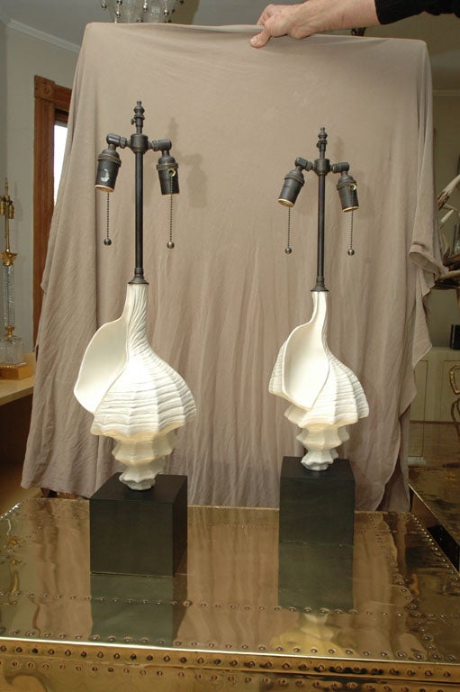 Pair of Shell Form Lamps
