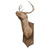 Weathered White-Tail DeerTaxidermy Mount