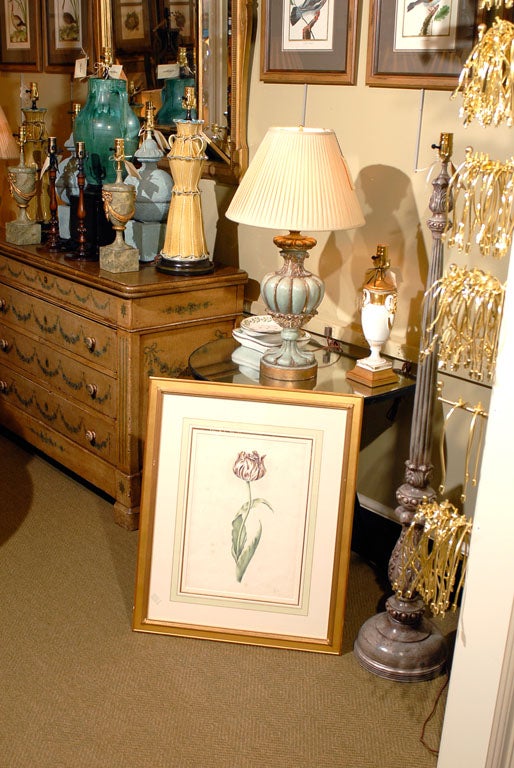 English Watercolors of Botanical Studies