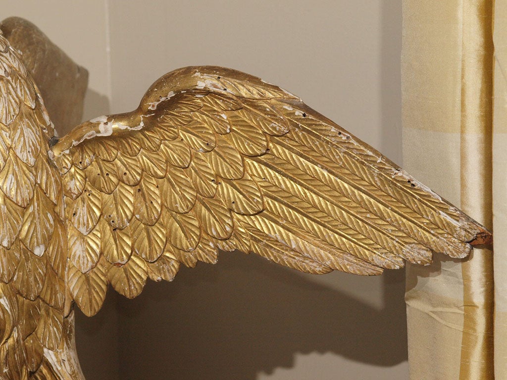 American (New Hampshire) Carved Eagle For Sale 2