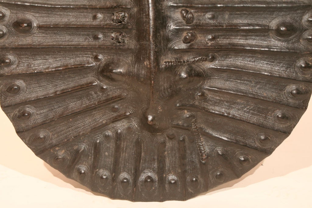 19th Century Shield