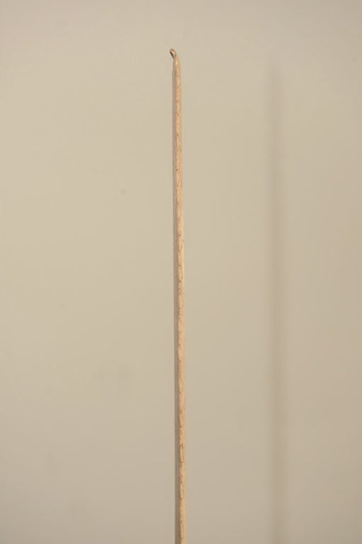 Lucite Mounted Sawfish Rostrum