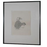 Vintage "South American Policy" Original Ink Illustration