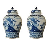 Pair of Chinese Jars