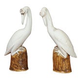 Chinese Cranes