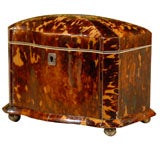 19th Century English Tortoise Tea Caddy