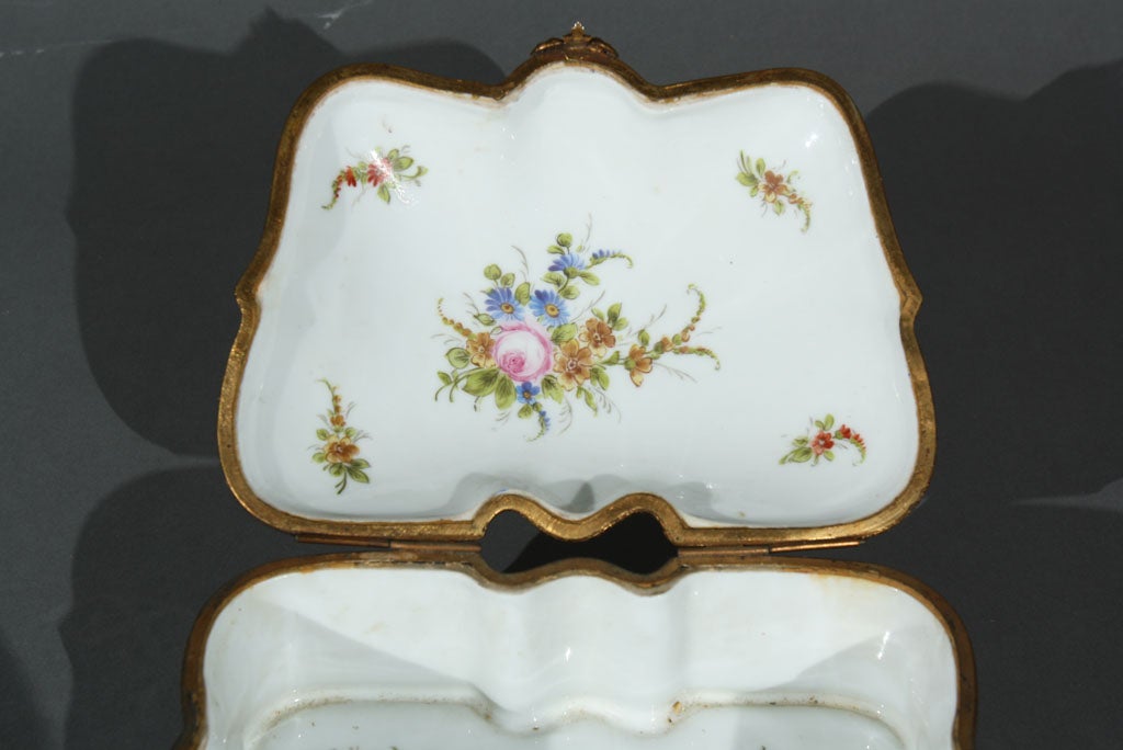 19th Century Sevres Painted Box For Sale
