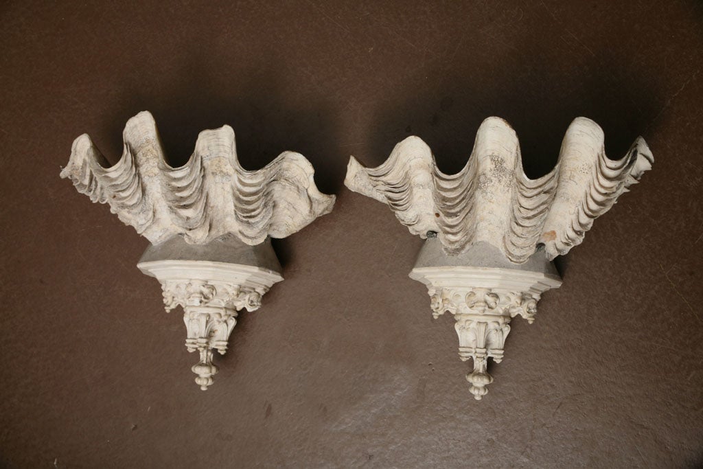 Pair of impressive and unusual Gothic inspired clam shell sconces. Perfect for the grotto. (Not electrified)