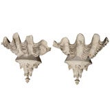 Clam Shell Wall Sconces