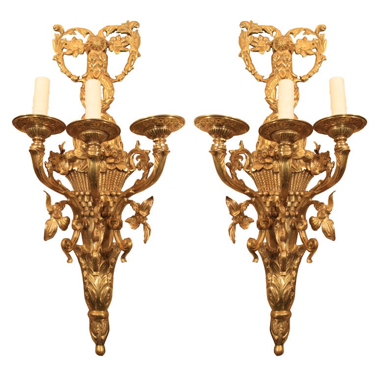 Pair of classical style brass sconces. For Sale