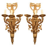 Pair of classical style brass sconces.