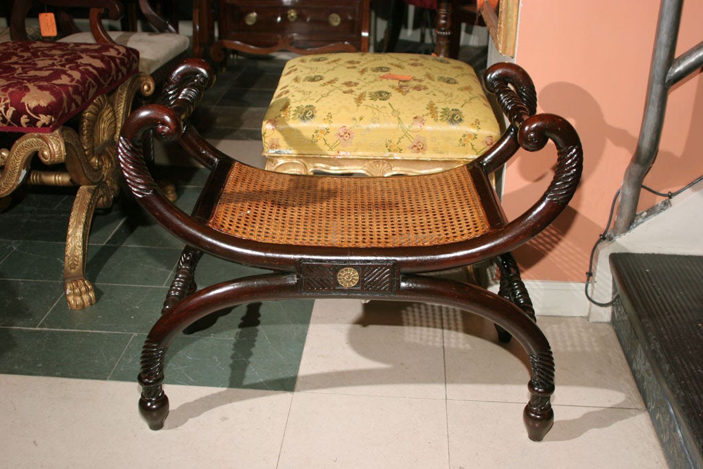 19th Century Regency Carved Curule Bench