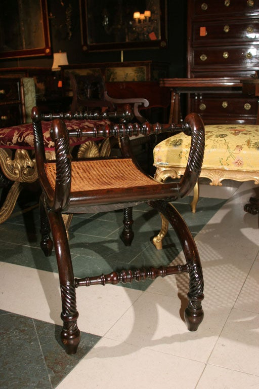 Regency Carved Curule Bench 5