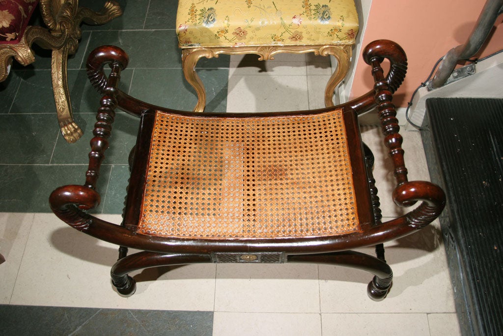 Regency Carved Curule Bench 6