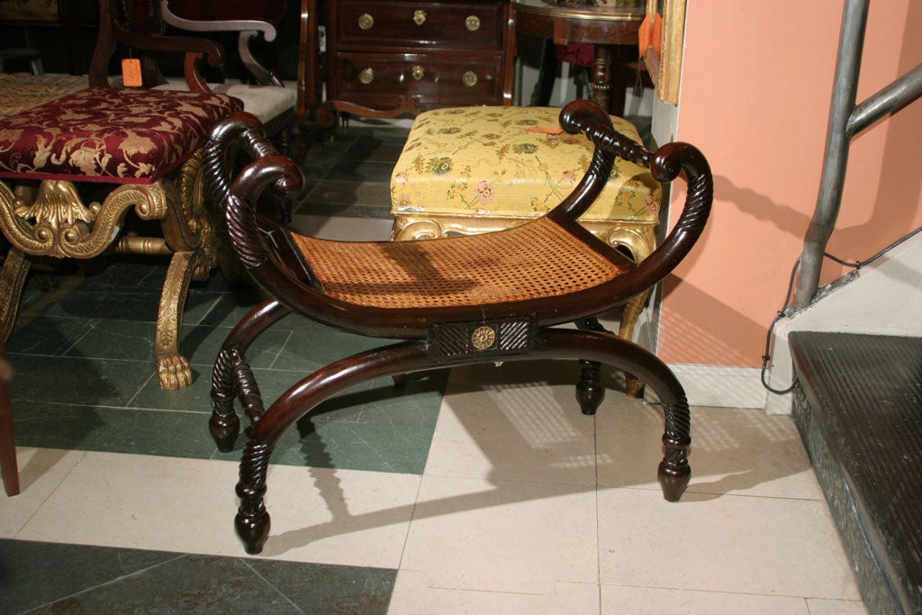 Anglo Indian Regency carved rope twist curule form bench with caned seat.