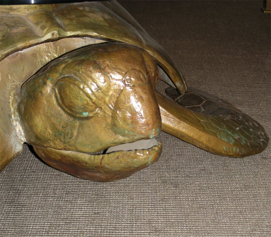 French 1970s Turtle Coffee Table