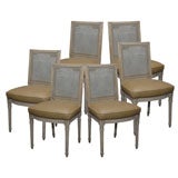 Louis XVI Chairs S/6, cane back, leather seats