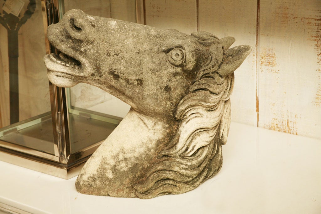 Bust of a Tuscan Horse