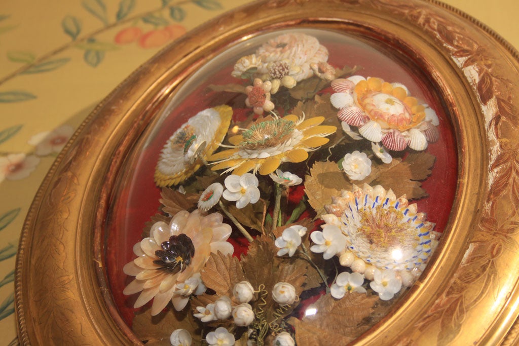 19th Century Shell bouquets in Louis Philippe frames