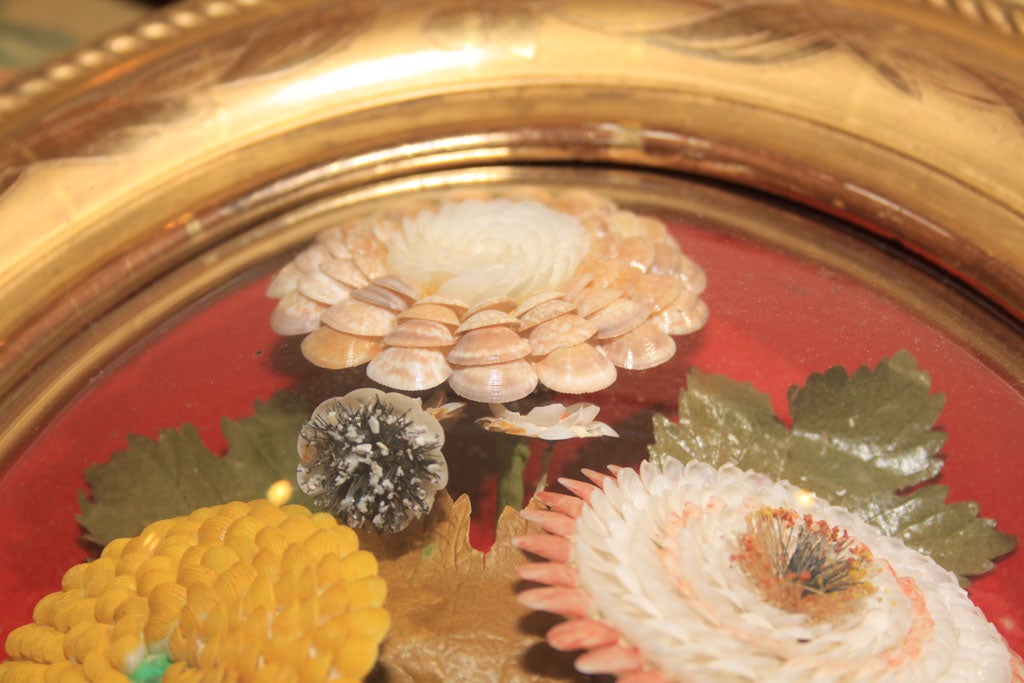 Shell bouquets in Louis Philippe frames 6