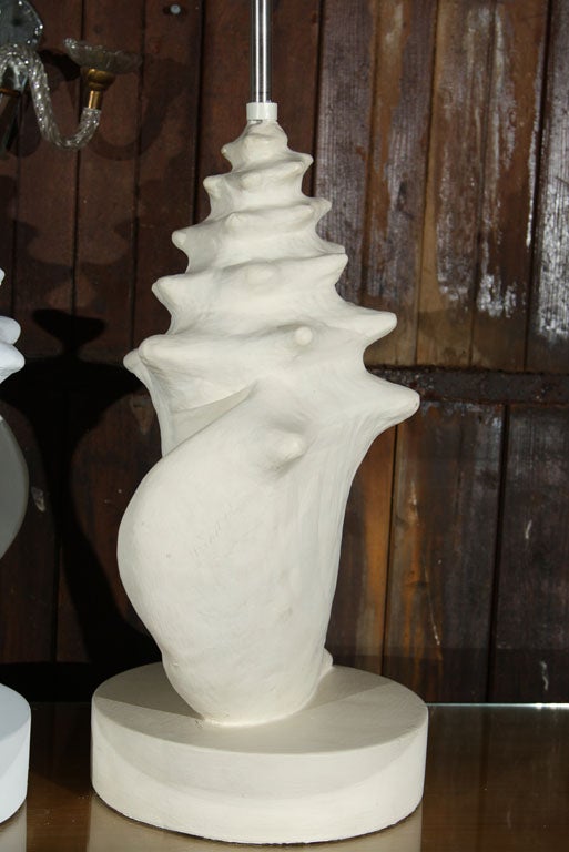 Pair of Large Conch Shell Lamps 2