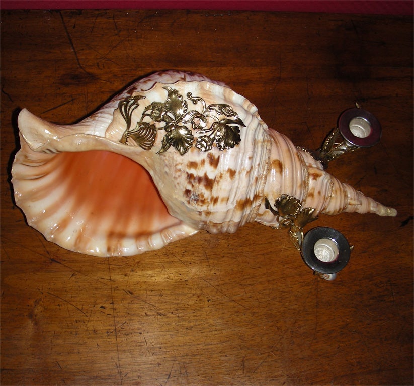 French Candleholder with Shell For Sale