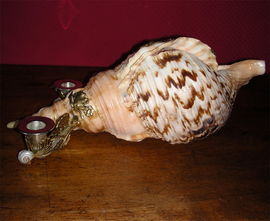 Candleholder with Shell For Sale 1