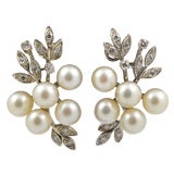 "Ice Princess" Earrings