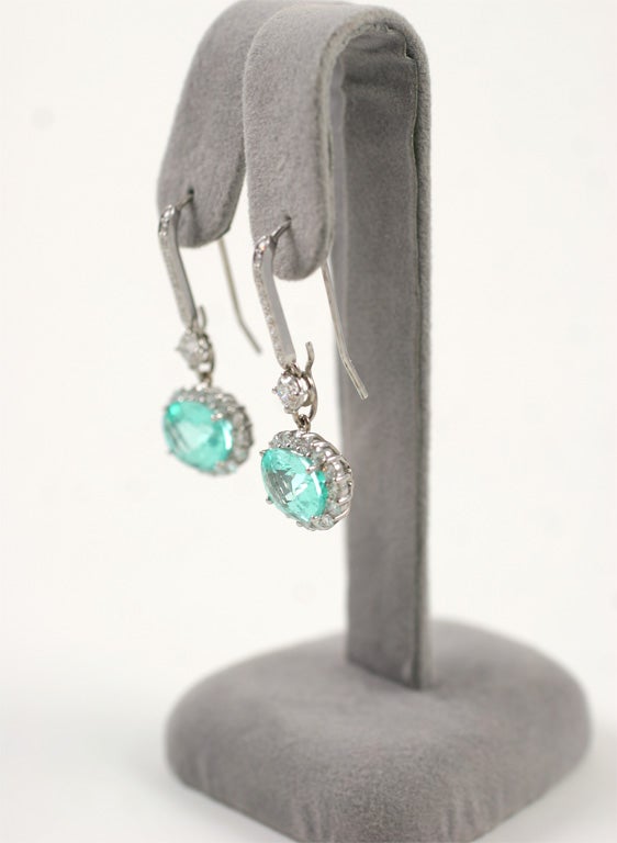 Oval Paraiba Tourmaline Earrings