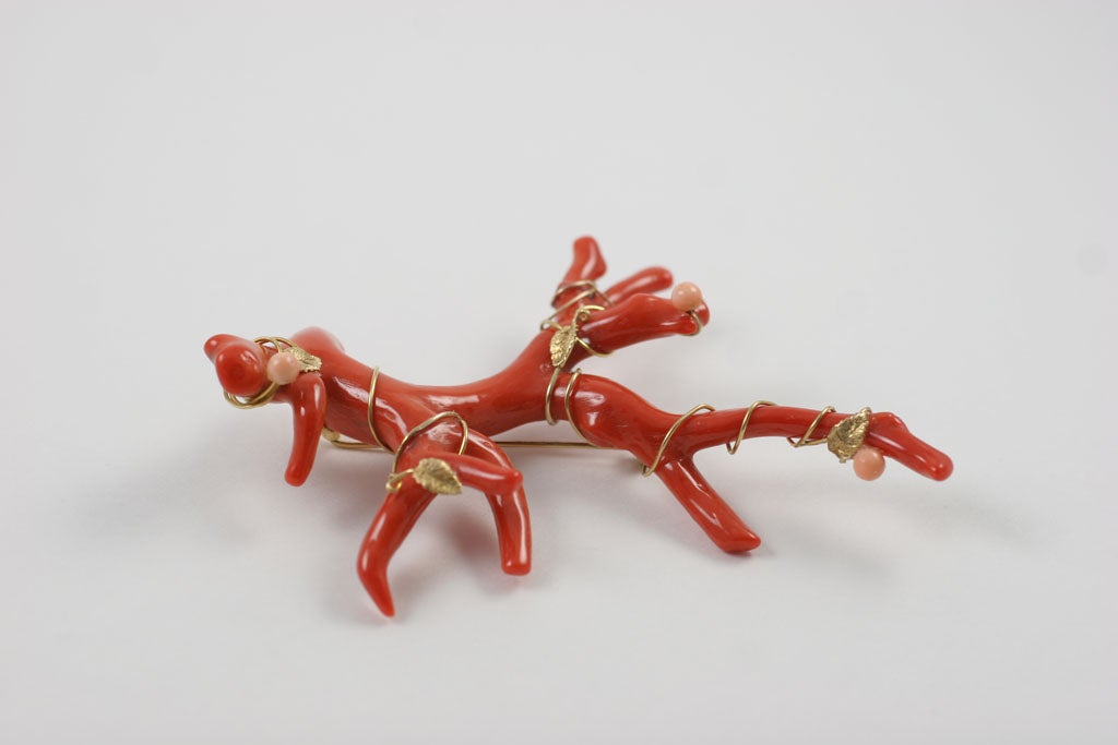 Victorian Magnificent Red Branch Coral Brooch