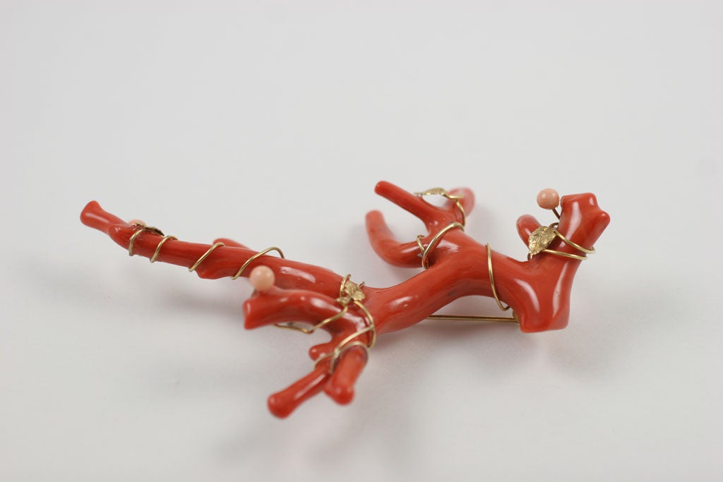 Women's Magnificent Red Branch Coral Brooch