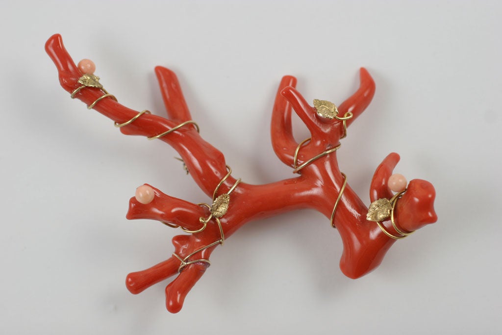Magnificent Red Branch Coral Brooch 1