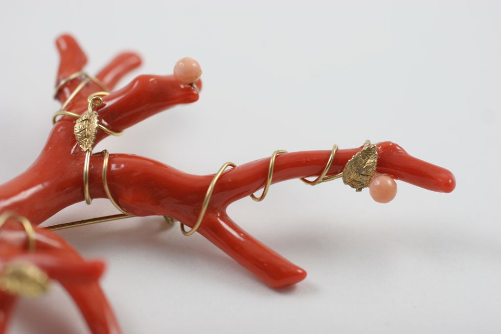 Magnificent Red Branch Coral Brooch 3