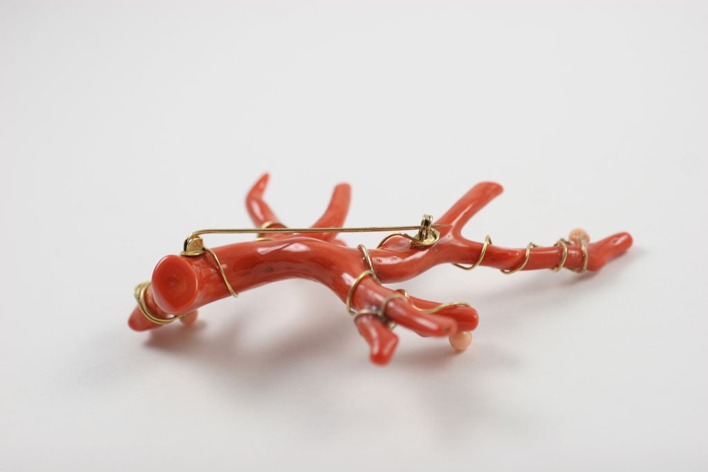 Magnifique broche en corail rouge 5