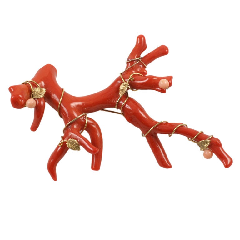 Magnificent Red Branch Coral Brooch