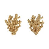 Napier Goldtone Coral Earrings